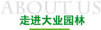 走进雷竞技