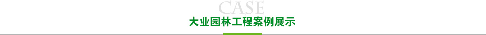 雷竞技工程案例展示