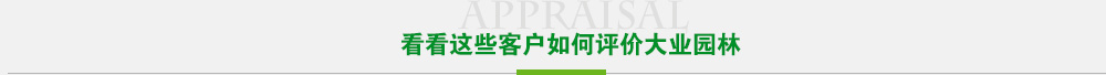看看这些客户如何评价雷竞技